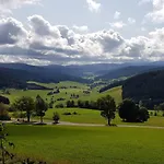 Hotel Zum Loewen - Unteres Wirtshaus Titisee-Neustadt
