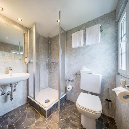 Zum Lowen - Unteres Wirtshaus 3* تيتيسي نيوستادت