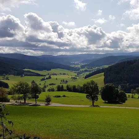 Hotel Zum Loewen - Unteres Wirtshaus Titisee-Neustadt