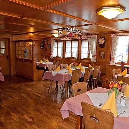 Zum Lowen - Unteres Wirtshaus فندق