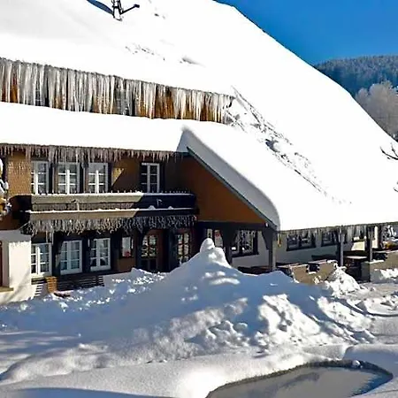 Zum Lowen - Unteres Wirtshaus 3* تيتيسي نيوستادت