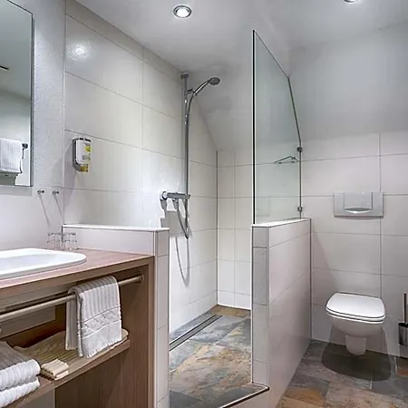 فندق Zum Lowen - Unteres Wirtshaus 3*