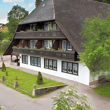 Zum Lowen - Unteres Wirtshaus تيتيسي نيوستادت