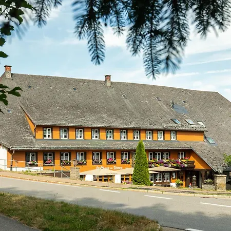 Zum Loewen - Unteres Wirtshaus 3* 티티제-노이슈타트