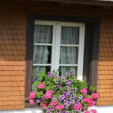 Zum Loewen - Unteres Wirtshaus Hotel